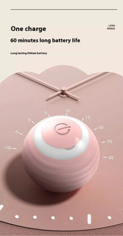 Pounce Smart Ball