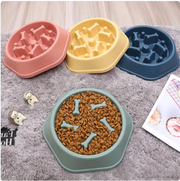 Pacer Slow Feeder Bowl