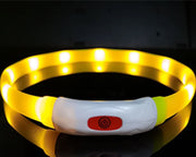 Beacon LED Safety Collar