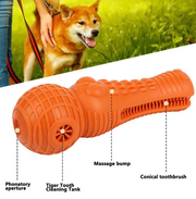 Gnaw Dental Chew