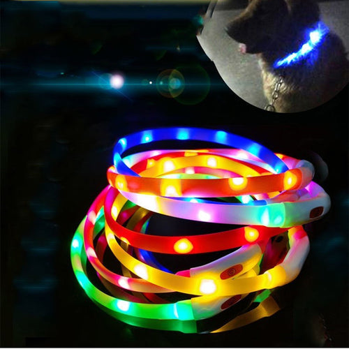 Beacon LED Safety Collar