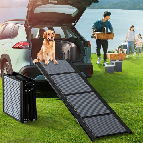 Carside Dog Ramp