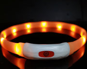 Beacon LED Safety Collar