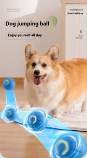 Pounce Smart Ball