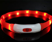 Beacon LED Safety Collar