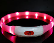 Beacon LED Safety Collar