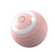 Pounce Smart Ball