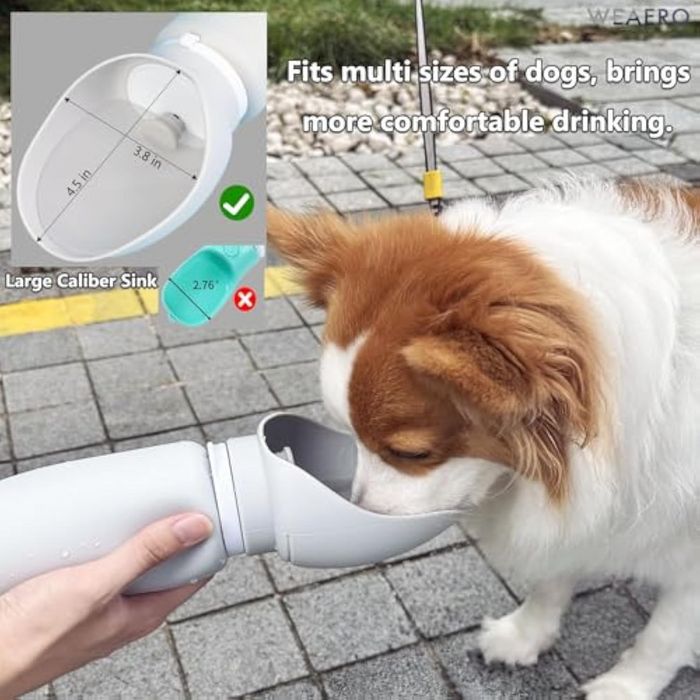 Roam Travel Water Bottle