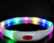 Beacon LED Safety Collar