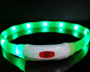 Beacon LED Safety Collar